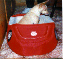 Blondie in her racing car...just after watching her favorite show,'Wishbone.'
